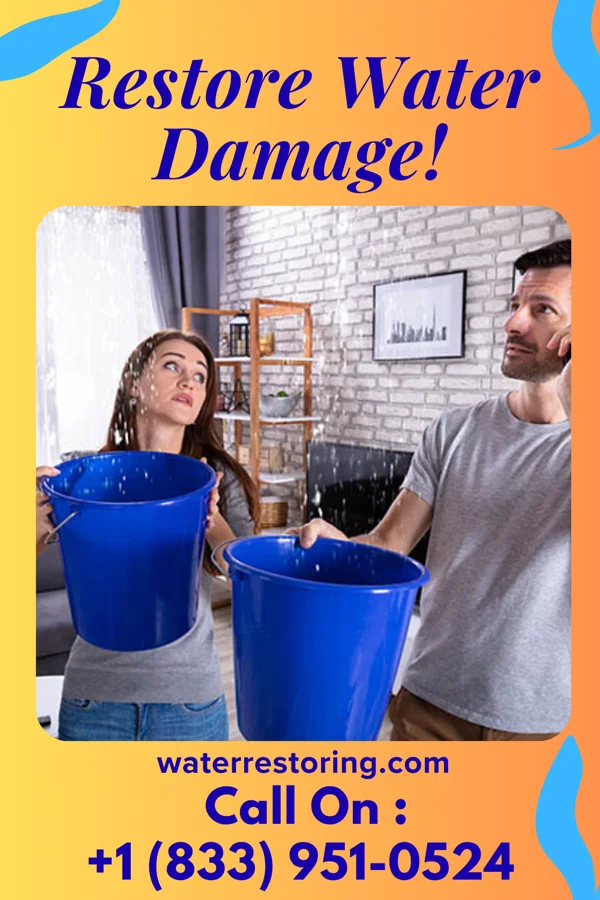 water restoration Sentinel Water Removal Experts Bardwell