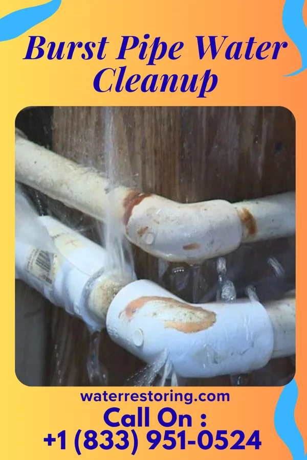 Burst Pipe Water Cleanup in Bardwell, KY