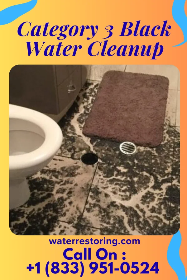 Category 3 Black Water Cleanup in Bardwell, KY