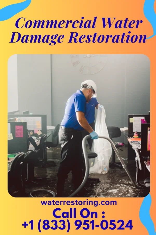 Commercial Water Damage Restoration in Bardwell, KY
