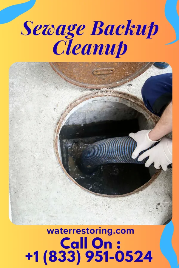 Sewage Backup Cleanup in Bardwell, KY